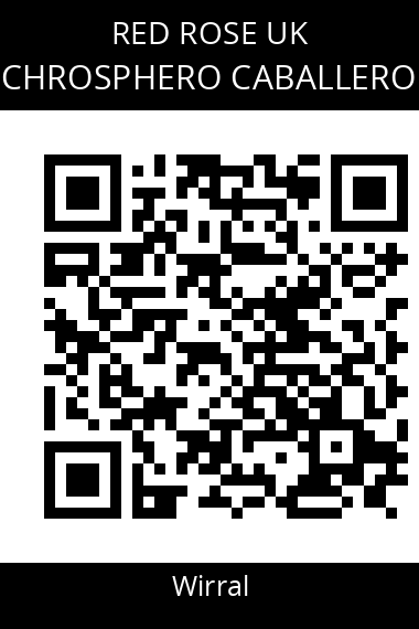 QR code for chrosphero-caballero