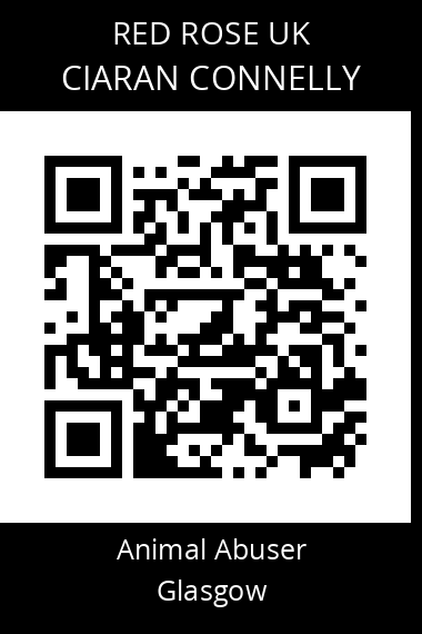 QR code for ciaran-connelly