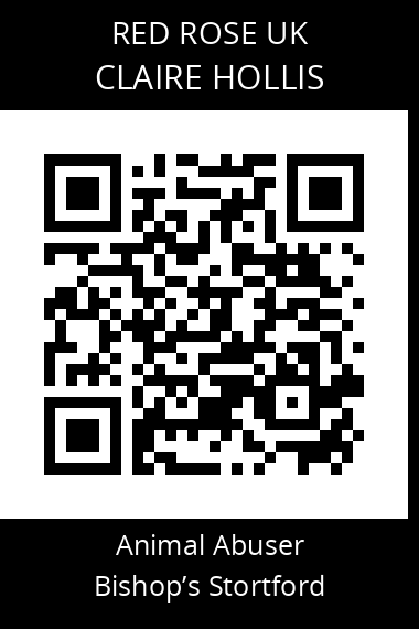 QR code for claire-hollis