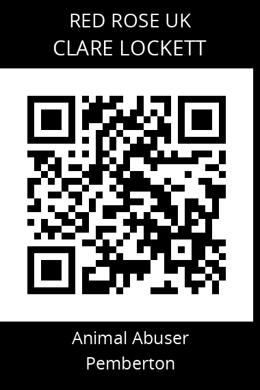 QR code for clare-lockett