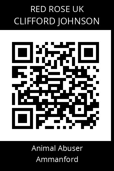 QR code for clifford-johnson