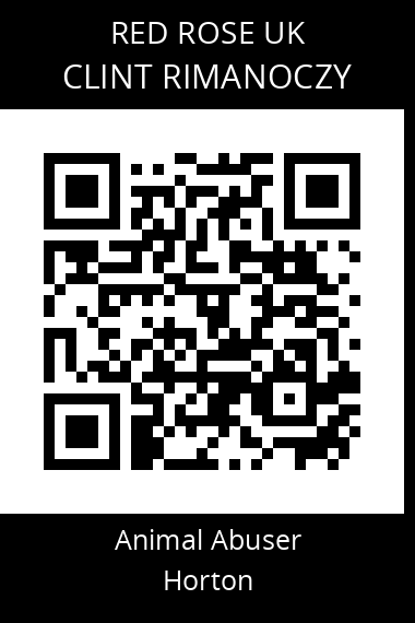 QR code for clint-rimanoczy