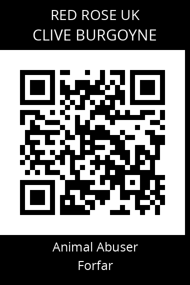 QR code for clive-burgoyne