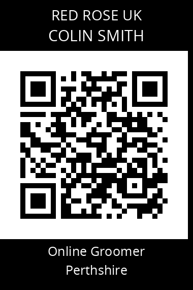 QR code for colin-smith-4