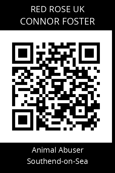 QR code for connor-foster