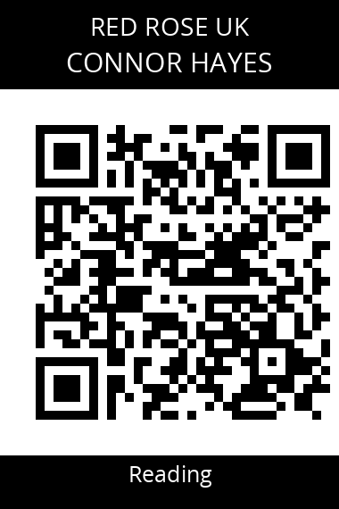 QR code for connor-hayes-ppebeg