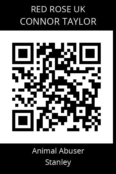 QR code for connor-taylor