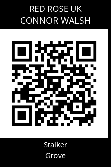 QR code for connor-walsh