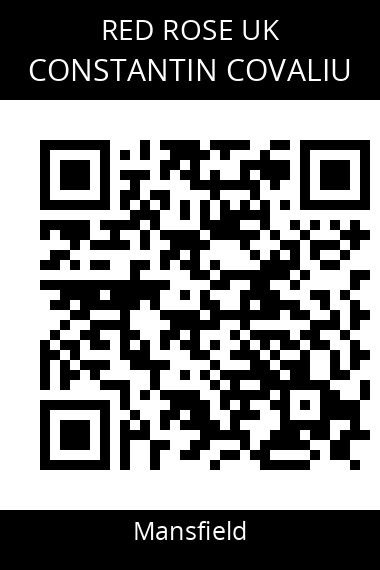QR code for constantin-covaliu