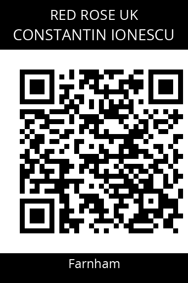 QR code for constantin-ionescu