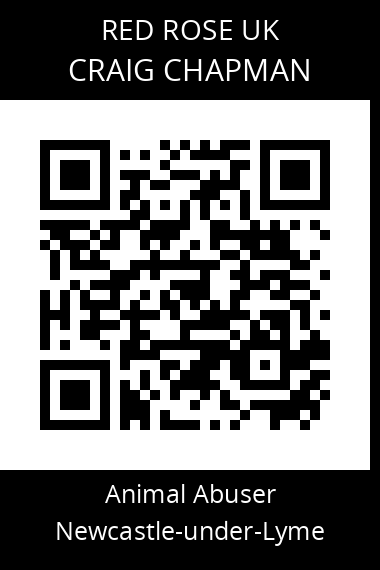 QR code for craig-chapman-1