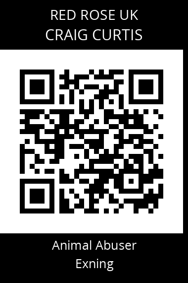 QR code for craig-curtis