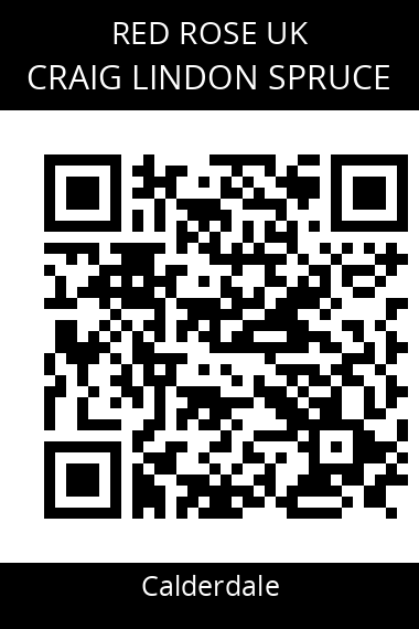 QR code for craig-lindon-spruce