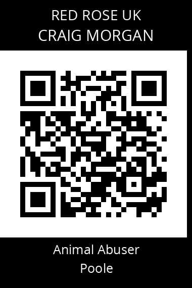QR code for craig-morgan