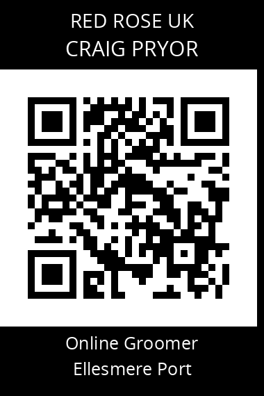 QR code for craig-pryor