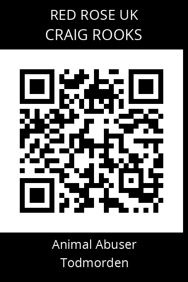 QR code for craig-rooks