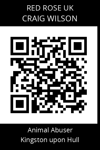 QR code for craig-wilson-2