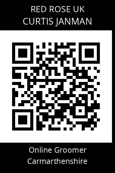 QR code for curtis-janman