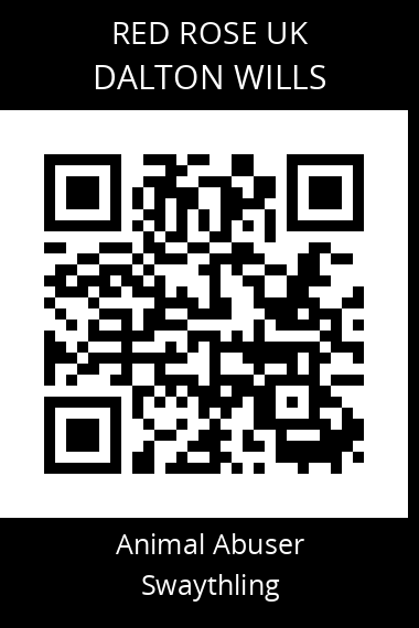 QR code for dalton-wills-2