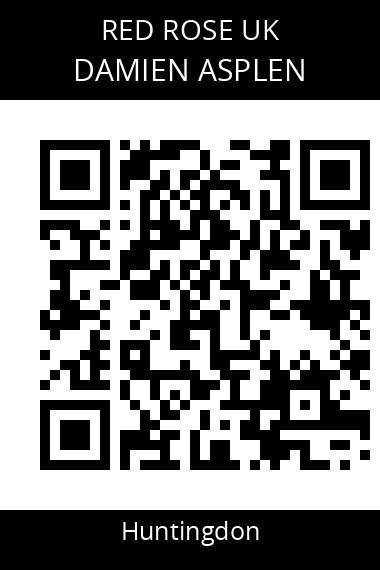 QR code for damien-asplen-mcjwv9