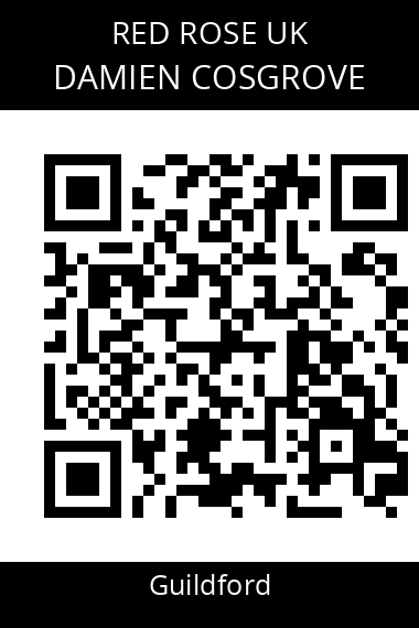 QR code for damien-cosgrove-ndujxn
