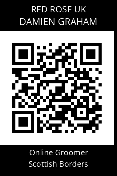 QR code for damien-graham-1