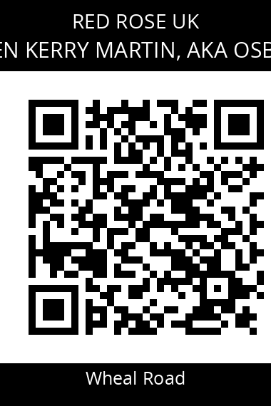 QR code for damien-kerry-martin-aka-osborne