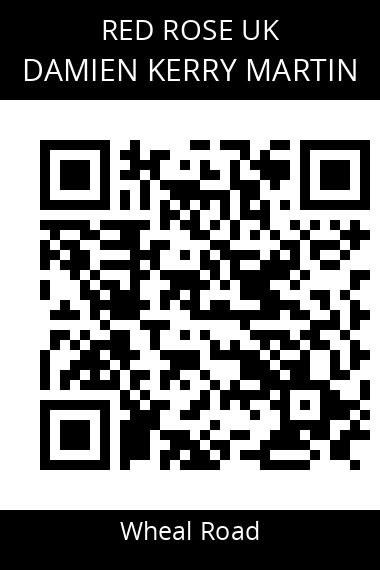 QR code for damien-kerry-martin