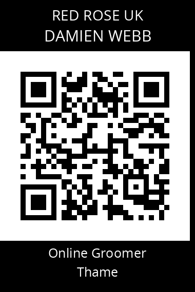 QR code for damien-webb