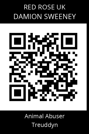 QR code for damion-sweeney