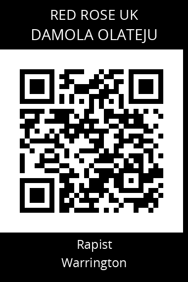 QR code for damola-olateju-1