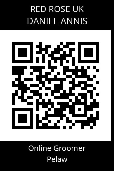 QR code for daniel-annis