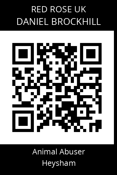 QR code for daniel-brockhill