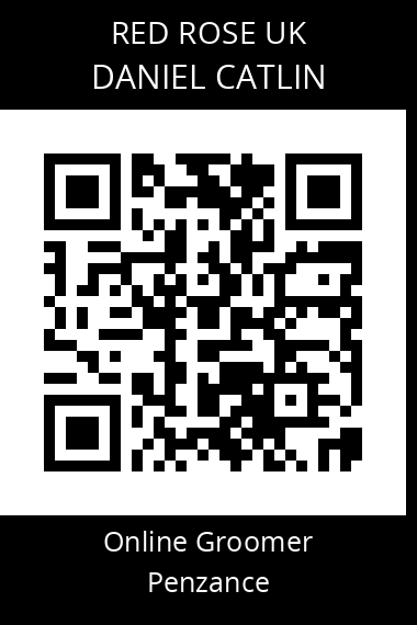 QR code for daniel-catlin-3