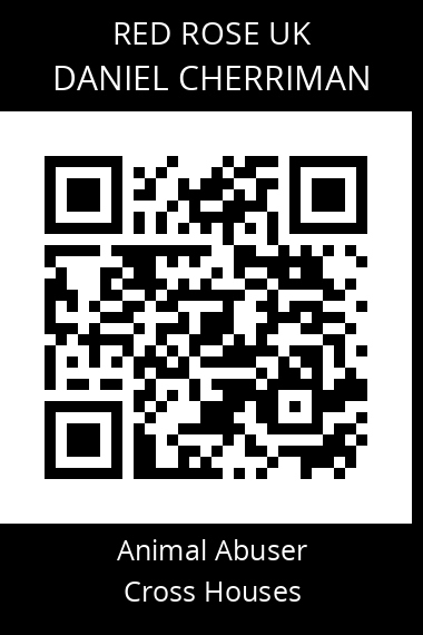 QR code for daniel-cherriman