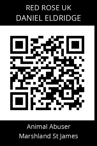 QR code for daniel-eldridge-1