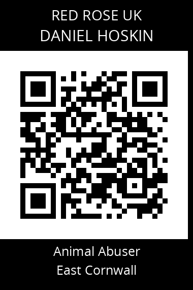 QR code for daniel-hoskin