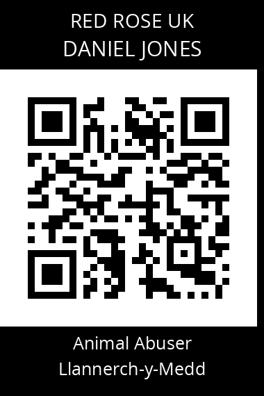 QR code for daniel-jones-6