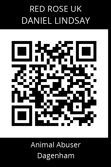 QR code for daniel-lindsay