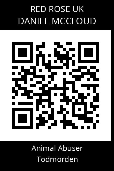 QR code for daniel-mccloud