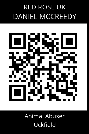 QR code for daniel-mccreedy