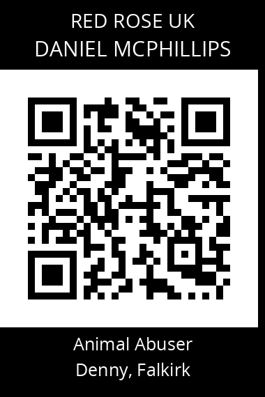 QR code for daniel-mcphillips