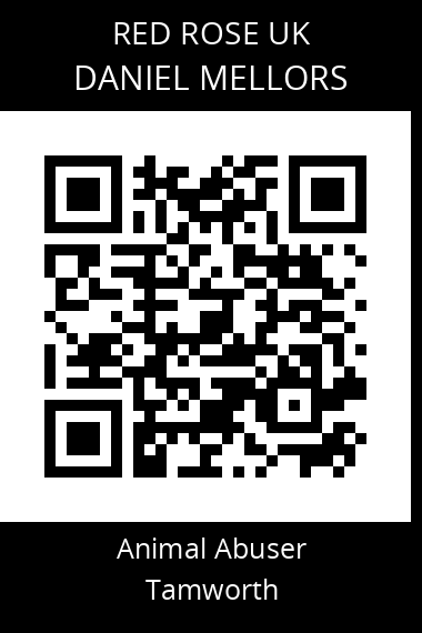 QR code for daniel-mellors