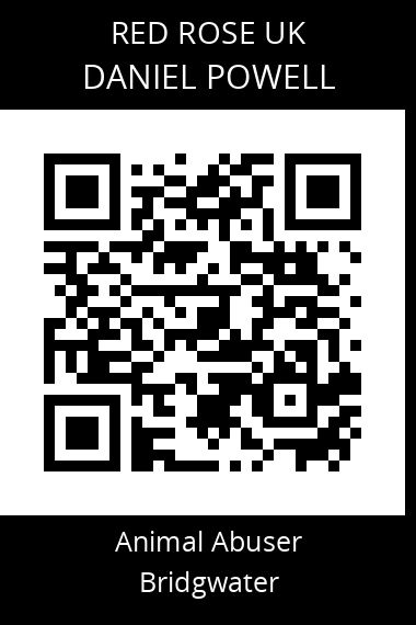 QR code for daniel-powell-3