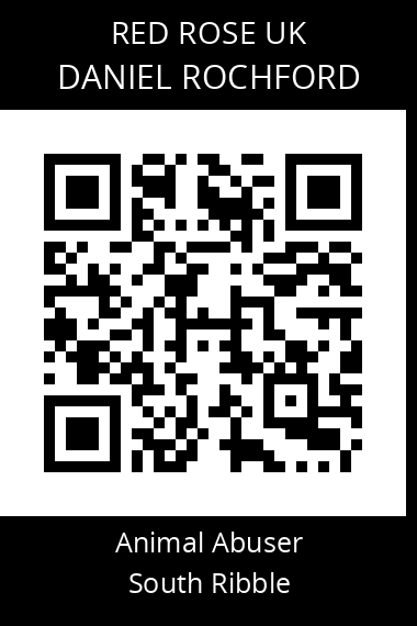 QR code for daniel-rochford