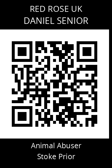 QR code for daniel-senior