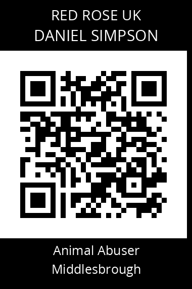 QR code for daniel-simpson