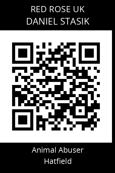 QR code for daniel-stasik
