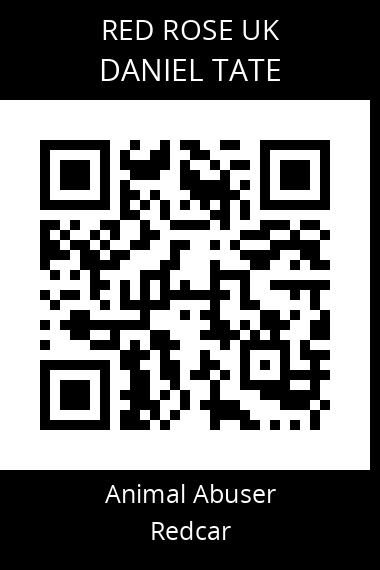 QR code for daniel-tate