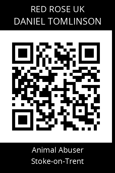 QR code for daniel-tomlinson